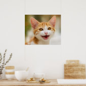 Niedliches Lächeln Kitten Face Funny Cat Meow Foto Poster (Küche)