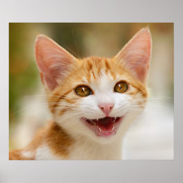Niedliches Lächeln Kitten Face Funny Cat Meow Foto Poster