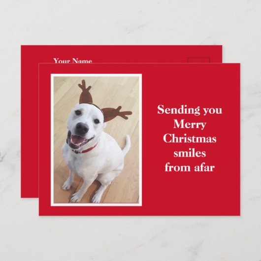 Niedliches Lächeln Rentier Welpen Hund Roter Weihn Postkarte (Vorne/Hinten)