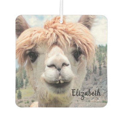 Alpaka Geschenke | Zazzle.de