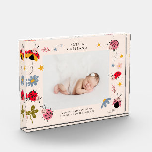 Niedliches Ladybug Baby Girl Foto Keepake