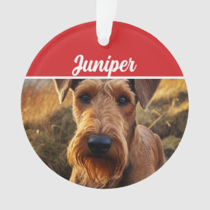 Niedliches Lakeland Terrier Dog Weihnachtsfeiertag Ornament