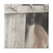 Niedliches Lama Schwarz/Weiß Fliese (Vorderseite)