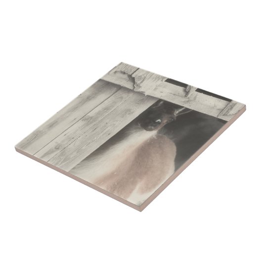 Niedliches Lama Schwarz/Weiß Fliese (Seite)