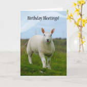 Niedliches Lamm - Birthday Bleetings - Lamm in Fie Karte (Gelbe Blume)