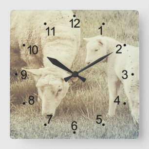 Niedliches Lamm und Mama Ewe Sheep Quadratische Wanduhr
