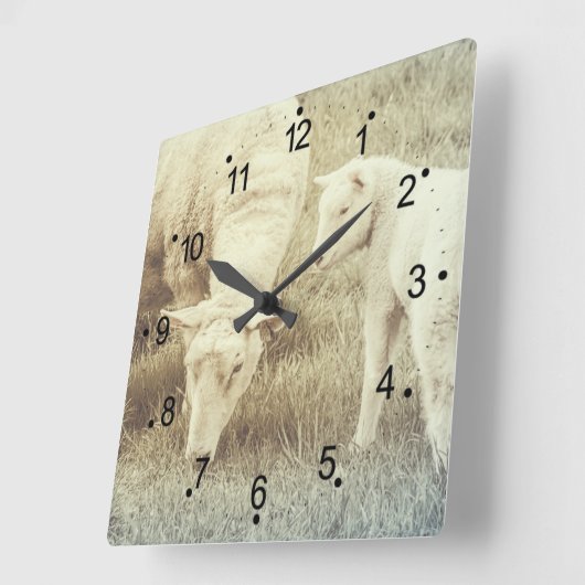 Niedliches Lamm und Mama Ewe Sheep Quadratische Wanduhr (Winkel)
