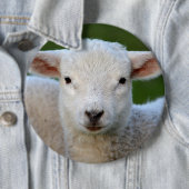 Niedliches Lammporträt Button (Beispiel)