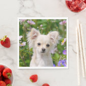 Niedliches Langhaar Chihuahua Dog Welpe Foto auf - Serviette (Beispiel)