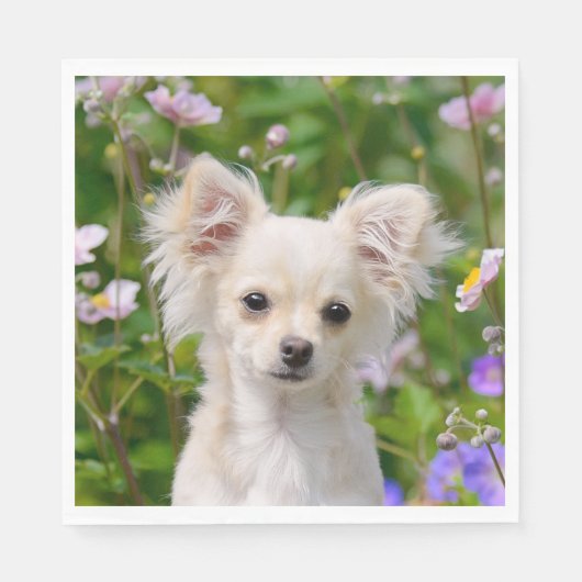 Niedliches Langhaar Chihuahua Dog Welpe Foto auf - Serviette (Vorderseite)
