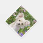 Niedliches Langhaar Chihuahua Dog Welpe Foto auf - Serviette (Ecke)