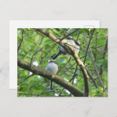 Niedliches Langschwanztier-Heimtier Postkarte (Vorne/Hinten)