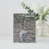 Niedliches Lemur-Foto Postkarte (Stehend Vorderseite)
