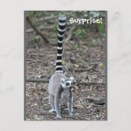 Niedliches Lemur-Foto Postkarte