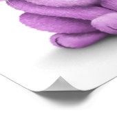 Niedliches Lila Baby Bunny auf Weiß Poster (Ecke)