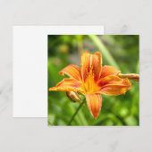 Niedliches Lily Blume Foto (Vorne/Hinten)