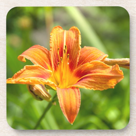 Niedliches Lily Blume Foto Getränkeuntersetzer (Vorderseite)