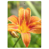 Niedliches Lily Blume Foto Klemmbrett (Rückseite)