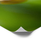 Niedliches Lily Blume Foto Poster (Ecke)