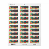 Niedliches Limettengrün, Türkis und Scharlachrot (Vorne)