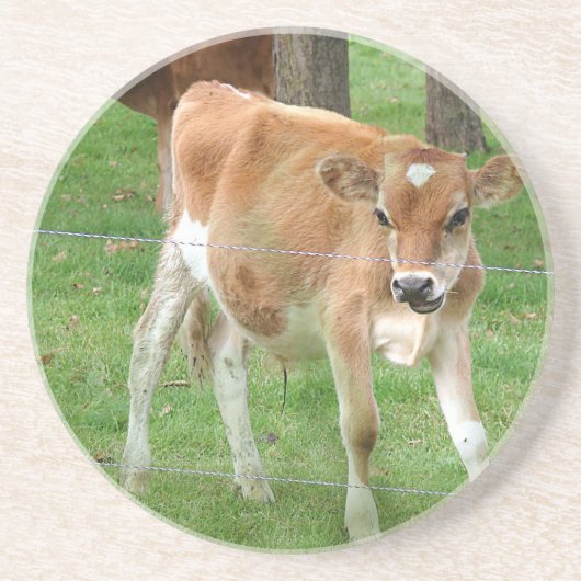 Niedliches Little Calf Getränkeuntersetzer (Vorne)