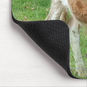 Niedliches Little Calf Mousepad (Ecke)