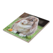 Niedliches Lop-Eared Kaninchen im Gras mit Karotte Fliese (Seite)