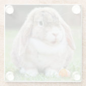 Niedliches Lop-Eared Kaninchen im Gras mit Karotte Glasuntersetzer (Rückseite)