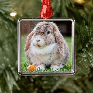 Niedliches Lop-Eared Kaninchen im Gras mit Karotte Ornament Aus Metall