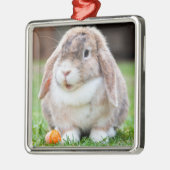 Niedliches Lop-Eared Kaninchen im Gras mit Karotte Ornament Aus Metall (Links)