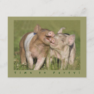Niedliches lustiges Ferkel-Geburtstags-Party Einladung