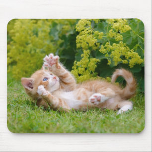 Niedliches lustiges Kätzchen, das in einem Blumeng Mousepad
