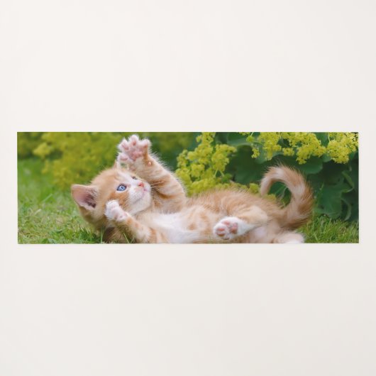 Niedliches, lustiges Katzenkätzchen, das in einem Yogamatte (Rückseite (Horizontal))