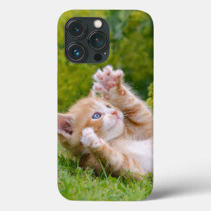 Niedliches, lustiges Katzenkätzchen in einem Blume Case-Mate iPhone Hülle