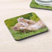 Niedliches, lustiges Katzenkätzchen in einem Blume Getränkeuntersetzer (Linke Seite)