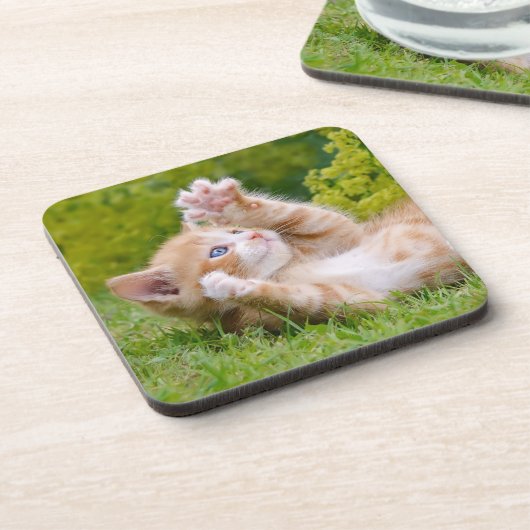 Niedliches, lustiges Katzenkätzchen in einem Blume Getränkeuntersetzer (Linke Seite)