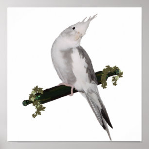 Niedliches Lutino Cockatiel Bird Ivy Pere Tier Poster