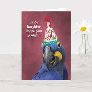Niedliches Macaw Laugh Bleibe jungen Geburtstag Karte