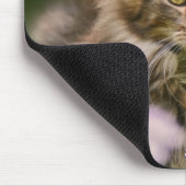 Niedliches Maincoon Kitten Katze in Blume Wiesenvo Mousepad (Ecke)