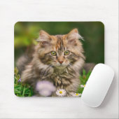 Niedliches Maincoon Kitten Katze in Blume Wiesenvo Mousepad (Mit Mouse)