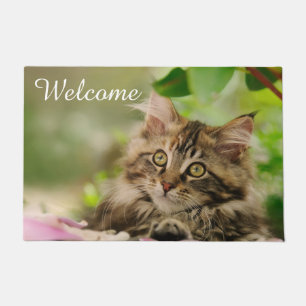 Niedliches Maine Coon Cat Kitten Foto auf Eintritt Fußmatte