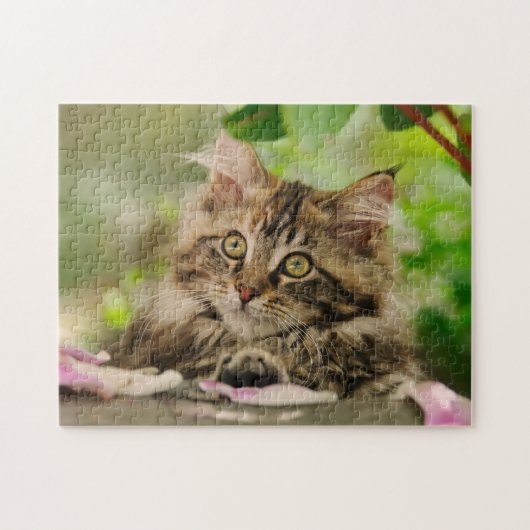 Niedliches Maine Coon Kätzchen in einem Garten - Puzzle (Horizontal)