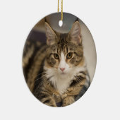 Niedliches Maine Coon Kitten im geraden Look Keramik Ornament (Rechts)