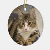 Niedliches Maine Coon Kitten im geraden Look Keramik Ornament (Links)
