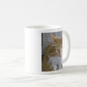 Niedliches Maine Coon Kitten Nah-Up-Foto Kaffeetasse (VorderseiteRechts)