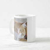 Niedliches Maine Coon Kitten Nah-Up-Foto Kaffeetasse (Vorderseite Links)