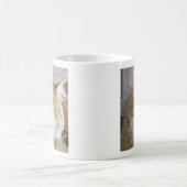 Niedliches Maine Coon Kitten Nah-Up-Foto Kaffeetasse (Mittel)