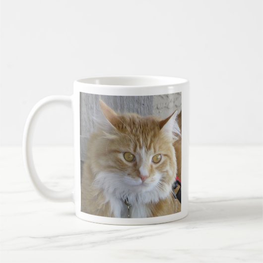 Niedliches Maine Coon Kitten Nah-Up-Foto Kaffeetasse (Links)