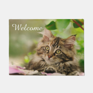 Niedliches Maine-Waschbär-Katzen-Kätzchen-Foto - Fußmatte
