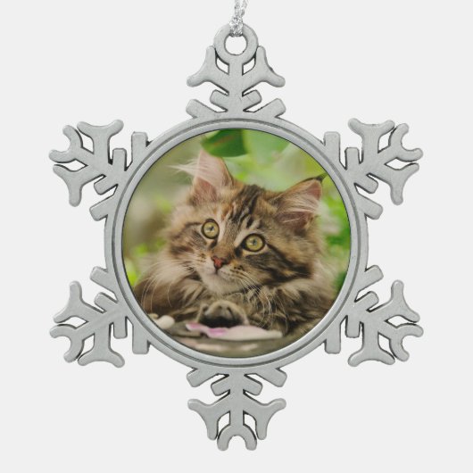 Niedliches Maine-Waschbär-Katzen-Kätzchen-Foto - Schneeflocken Zinn-Ornament (Vorderseite)
